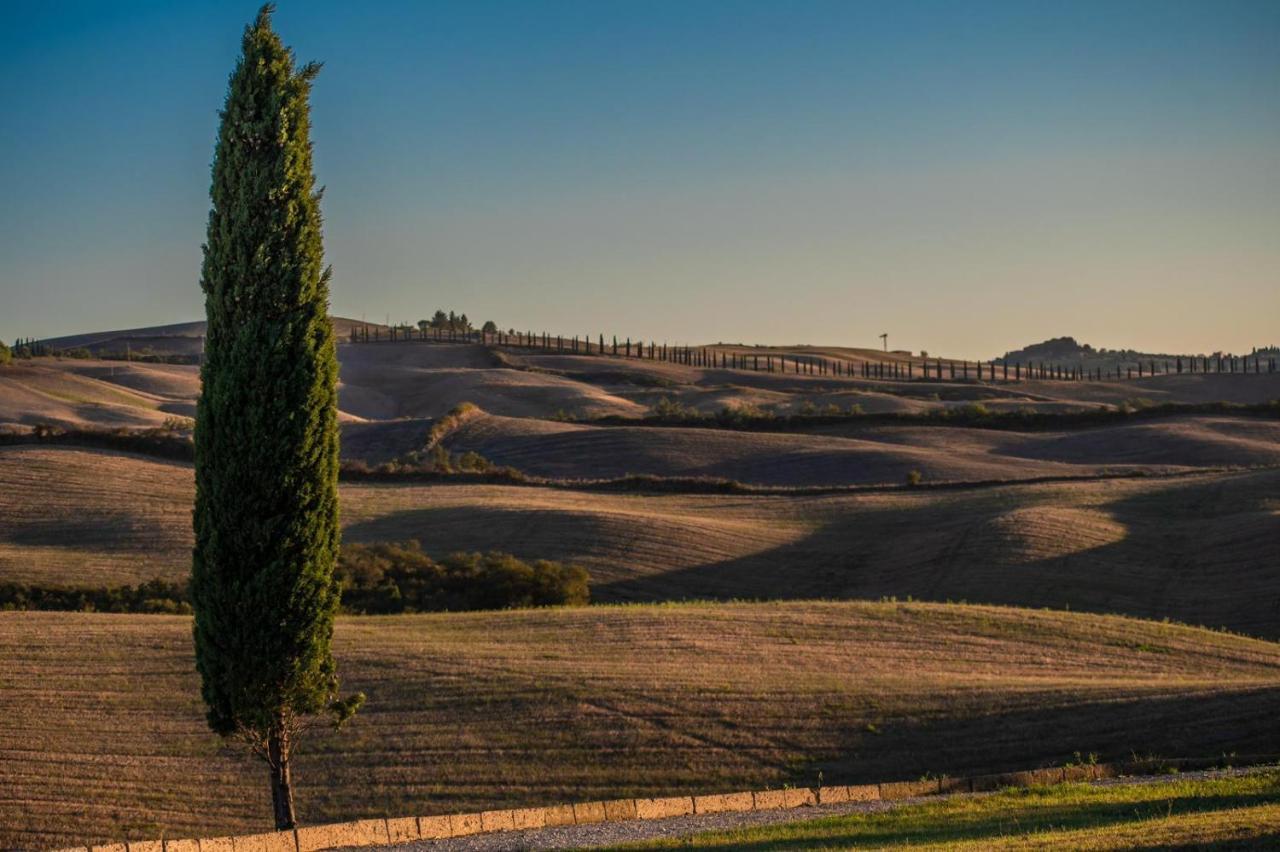 Casa Lavanda - Podere Fossaccio Asciano Extérieur photo